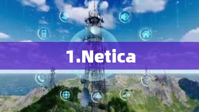 1.Netica