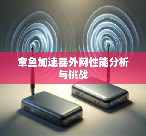 章鱼加速器外网性能分析与挑战