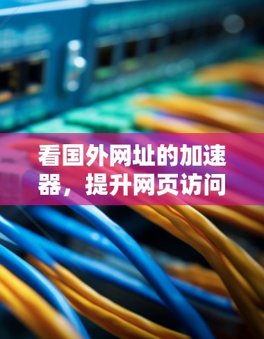 看国外网址的加速器，提升网页访问效率的高效工具