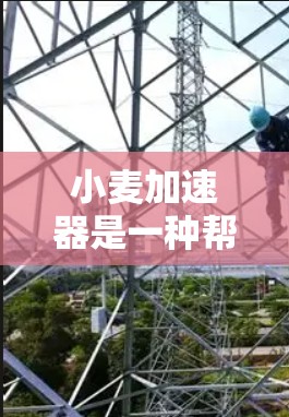 小麦加速器是一种帮助用户优化网络连接的工具，通常用于减少延迟或提高数据传输速度。以下是一步步的指南