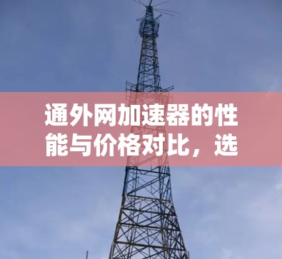 通外网加速器的性能与价格对比，选择什么更合适？