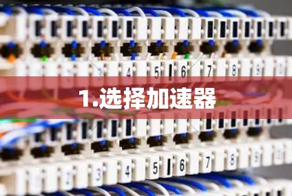 1.选择加速器