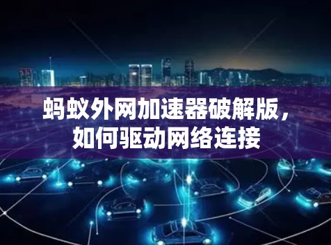 蚂蚁外网加速器破解版，如何驱动网络连接