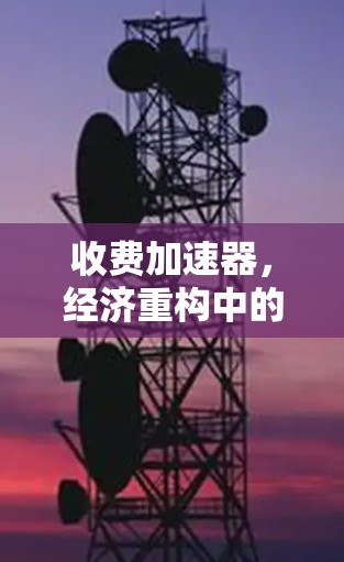 收费加速器，经济重构中的新角色