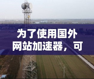 为了使用国外网站加速器，可以按照以下步骤操作