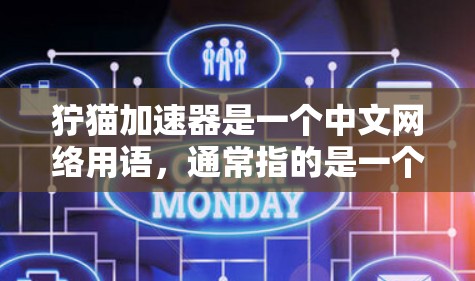 狞猫加速器是一个中文网络用语，通常指的是一个针对特定网站加速的技术服务，而不是外网或内网。具体来说