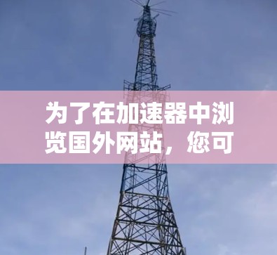 为了在加速器中浏览国外网站，您可以按照以下步骤操作