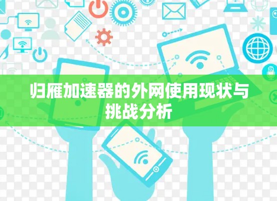 归雁加速器的外网使用现状与挑战分析