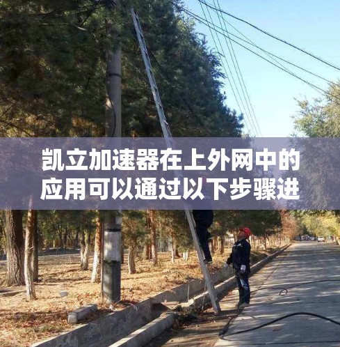 凯立加速器在上外网中的应用可以通过以下步骤进行