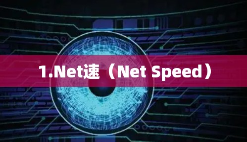 1.Net速（Net Speed）