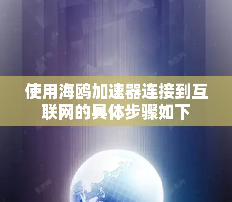 使用海鸥加速器连接到互联网的具体步骤如下