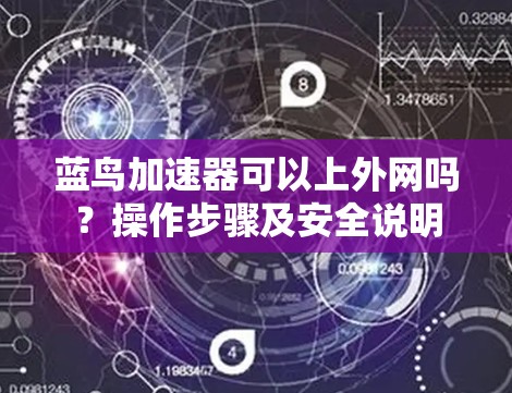 蓝鸟加速器可以上外网吗？操作步骤及安全说明