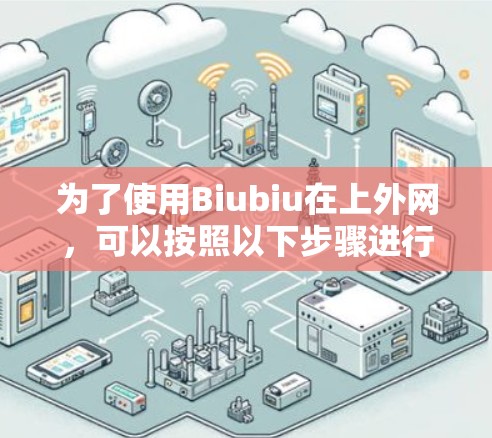 为了使用Biubiu在上外网，可以按照以下步骤进行