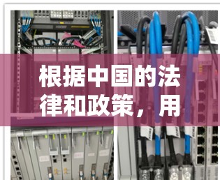 根据中国的法律和政策，用户可以在外网使用biubiu加速器，但操作需要遵循特定的步骤和法律限制。以下是详细的步骤和考虑因素