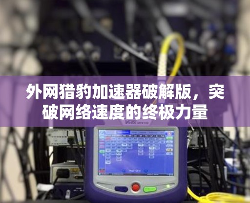 外网猎豹加速器破解版，突破网络速度的终极力量