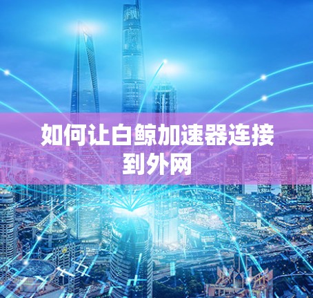 如何让白鲸加速器连接到外网