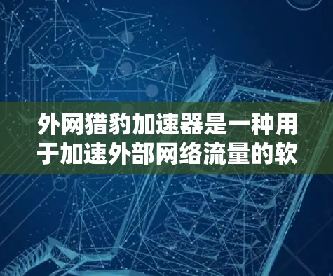 外网猎豹加速器是一种用于加速外部网络流量的软件工具，具有以下关键优势和潜在缺点