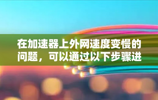 在加速器上外网速度变慢的问题，可以通过以下步骤进行排查和解决