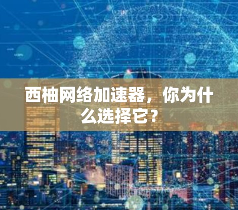 西柚网络加速器，你为什么选择它？