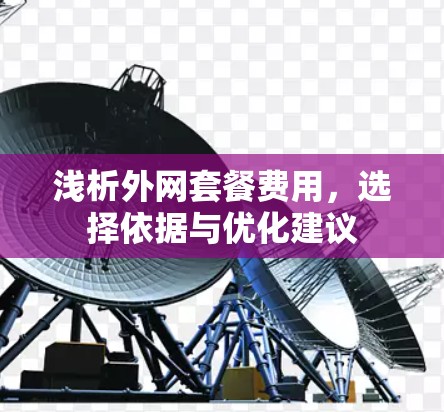 浅析外网套餐费用，选择依据与优化建议