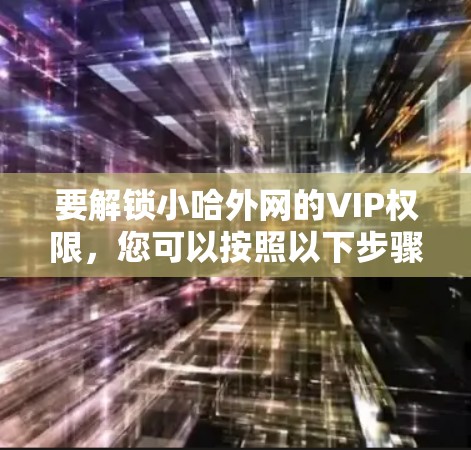 要解锁小哈外网的VIP权限，您可以按照以下步骤操作