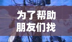 为了帮助朋友们找到适合的国外网站加速器，以下是一个有条理的总结和建议