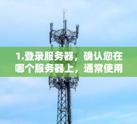 1.登录服务器，确认您在哪个服务器上，通常使用服务器ID和端口连接