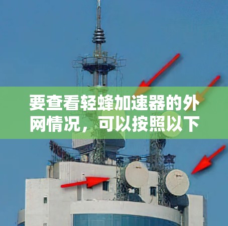 要查看轻蜂加速器的外网情况，可以按照以下步骤操作