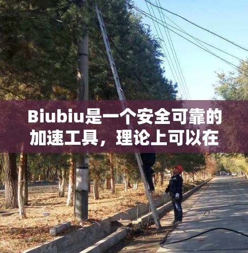 Biubiu是一个安全可靠的加速工具，理论上可以在国外网站上使用。以下是对使用Biubiu加速器在国外网站上的关键点的总结