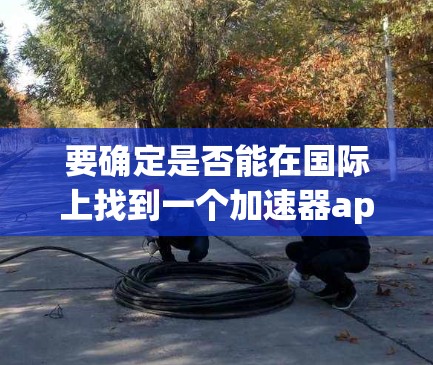 要确定是否能在国际上找到一个加速器app来提升网页加载速度，可以按照以下步骤进行