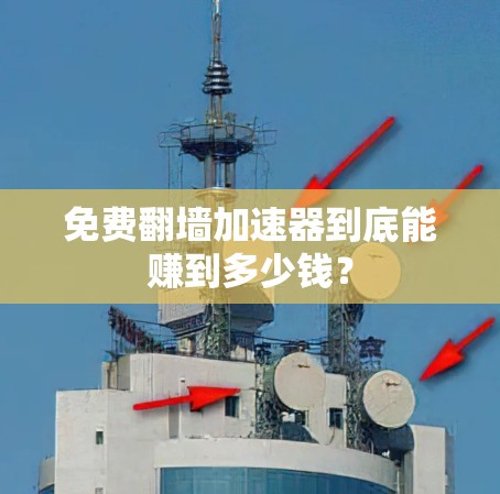 免费翻墙加速器到底能赚到多少钱？