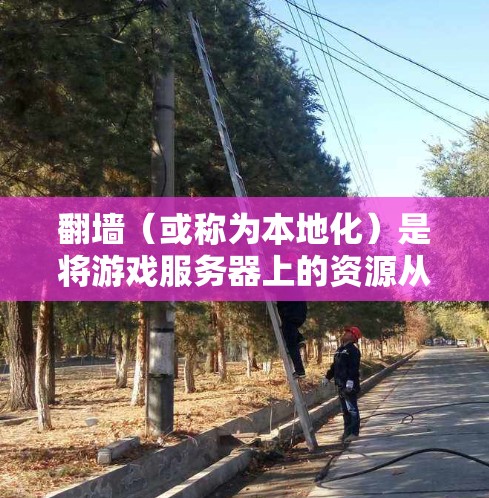 翻墙（或称为本地化）是将游戏服务器上的资源从服务器中下载到设备本地的过程，通常用于加速游戏下载速度。以下是关于如何安全地进行网游加速器翻墙的详细步骤