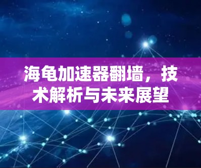 海龟加速器翻墙，技术解析与未来展望