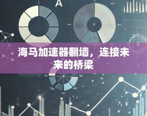 海马加速器翻墙，连接未来的桥梁