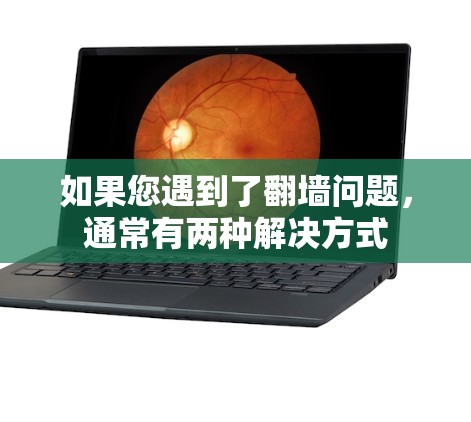 如果您遇到了翻墙问题，通常有两种解决方式