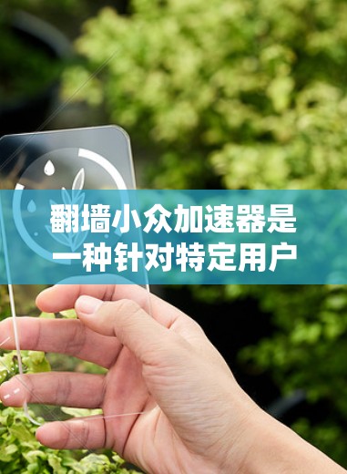 翻墙小众加速器是一种针对特定用户或设备的小众工具，用于加速翻墙操作。其核心特点包括