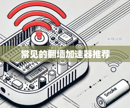 常见的翻墙加速器推荐