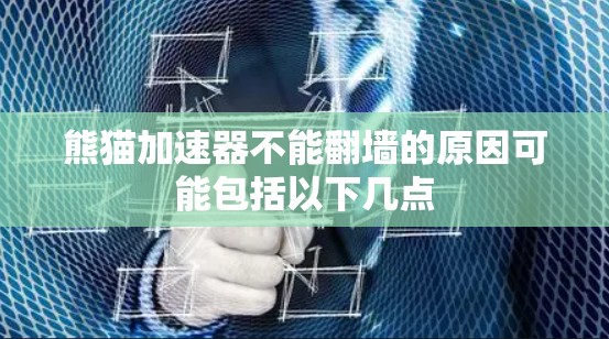 熊猫加速器不能翻墙的原因可能包括以下几点