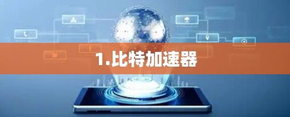 1.比特加速器