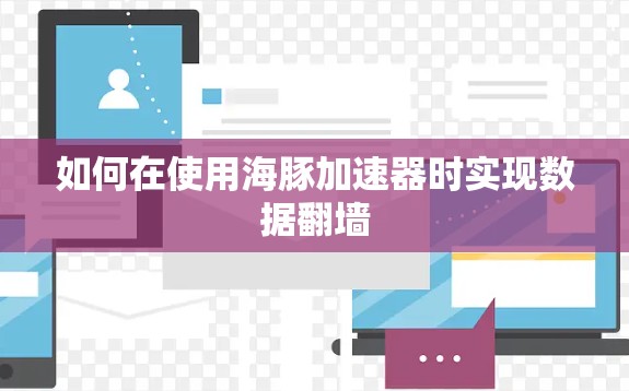 如何在使用海豚加速器时实现数据翻墙