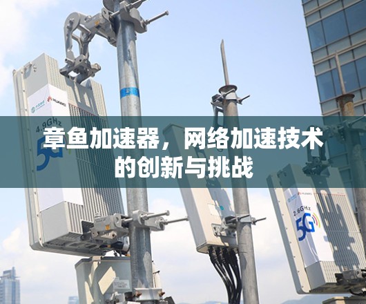章鱼加速器，网络加速技术的创新与挑战