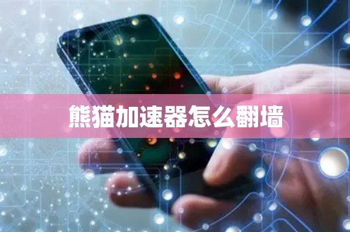 熊猫加速器怎么翻墙