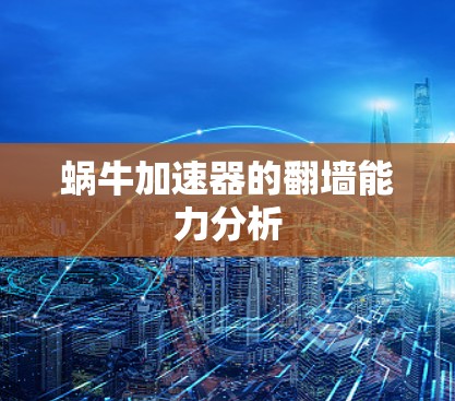 蜗牛加速器的翻墙能力分析