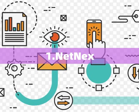1.NetNex