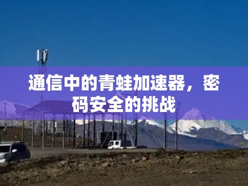 通信中的青蛙加速器，密码安全的挑战