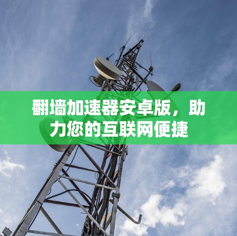翻墙加速器安卓版，助力您的互联网便捷