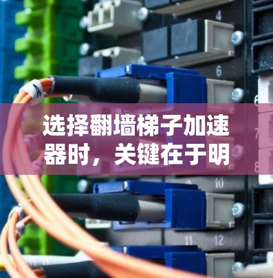 选择翻墙梯子加速器时，关键在于明确需求、评估因素并做出明智的选择。以下是一些建议，帮助您做出最佳选择