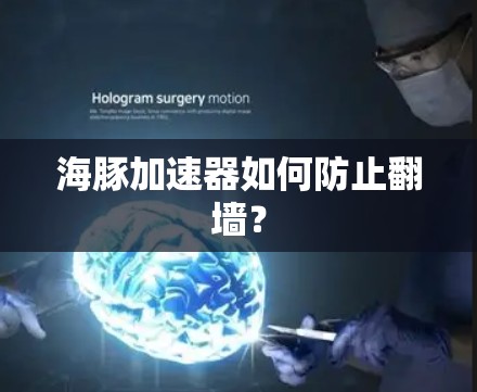 海豚加速器如何防止翻墙？