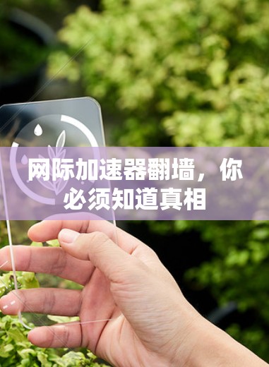 网际加速器翻墙，你必须知道真相