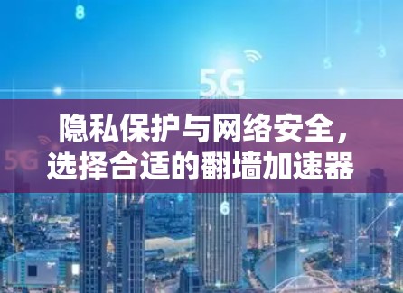隐私保护与网络安全，选择合适的翻墙加速器